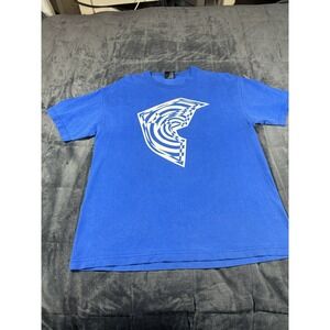 Vintage Y2K Blue  Famous Stars and‎ Straps Skater T Shirt size, large grunge